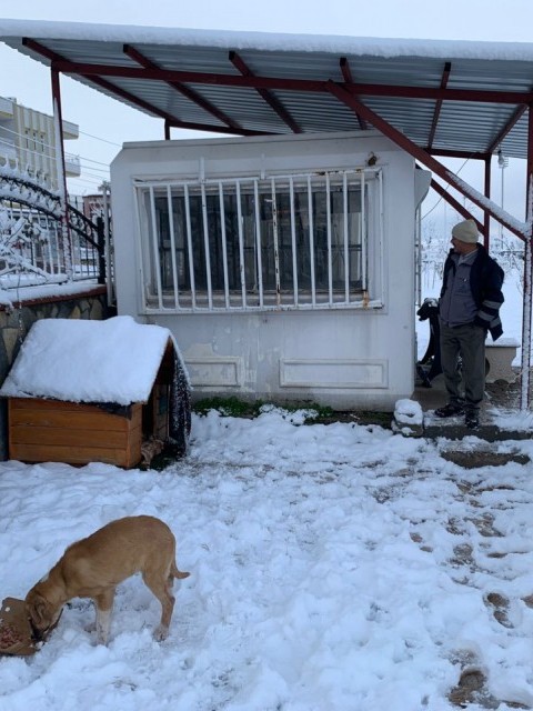 NEMRUT ROTARY KULÜBÜNDEN CAN DOSTLARA MAMA 