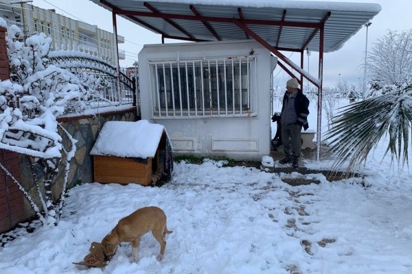 NEMRUT ROTARY KULÜBÜNDEN CAN DOSTLARA MAMA 