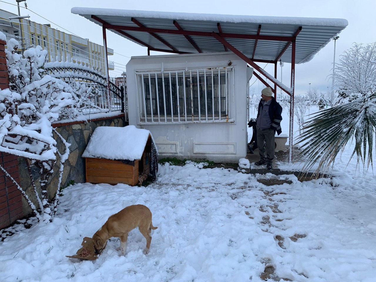 NEMRUT ROTARY KULÜBÜNDEN CAN DOSTLARA MAMA 